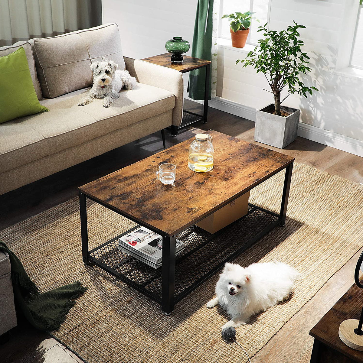 Rustic Mesh Coffee Table