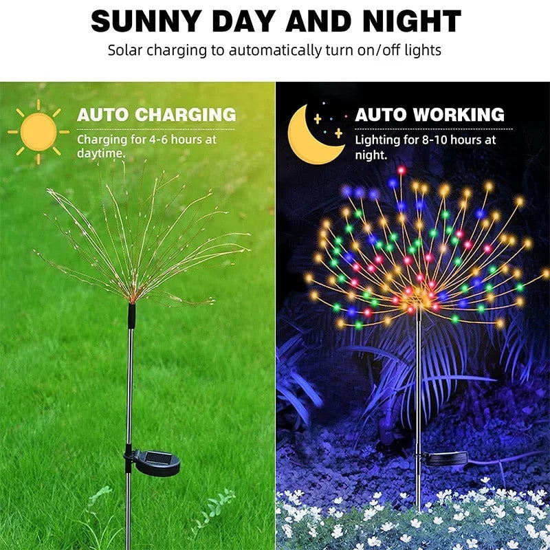 Solar Firework Lights