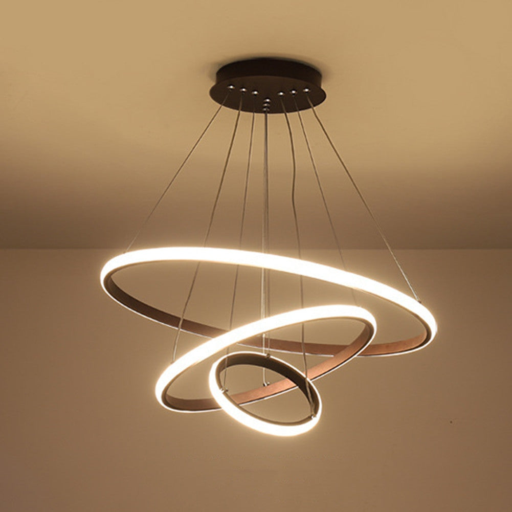 Adjustable Ring Ceiling Light