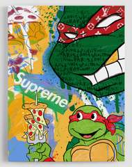 The Designer Turtles Canvas