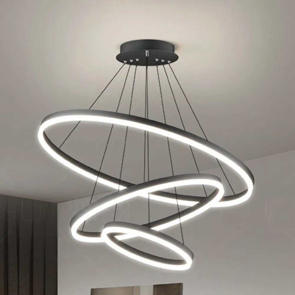 Adjustable Ring Ceiling Light