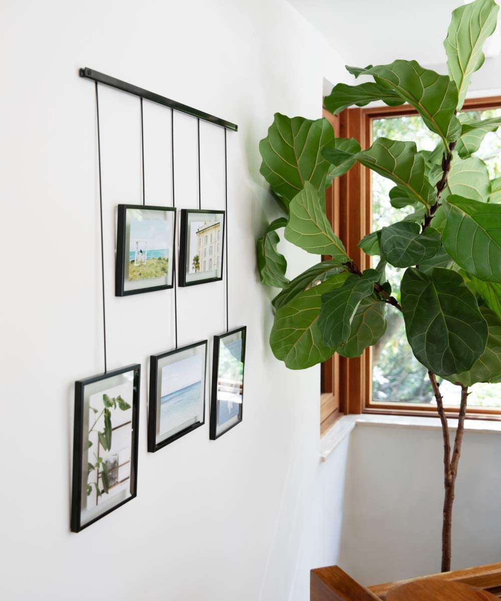 Hanging Frame Photo Gallery