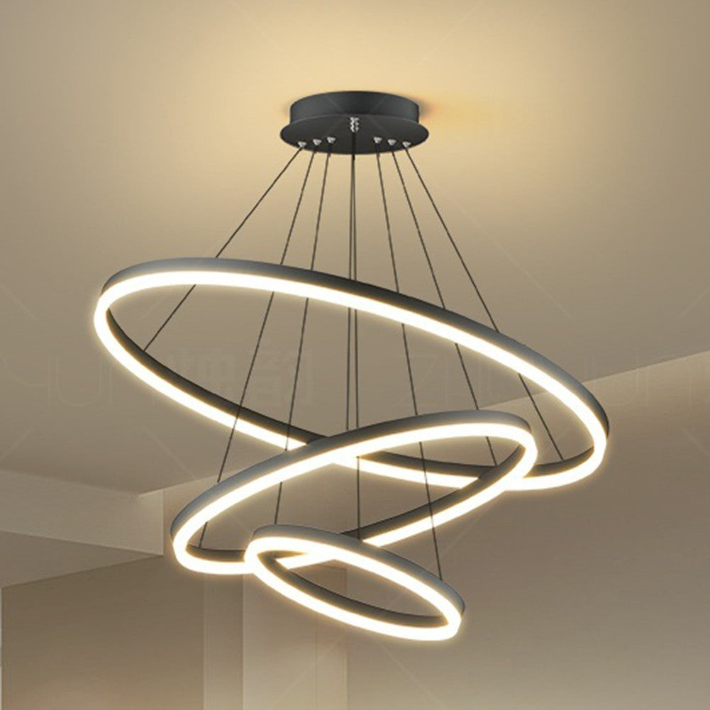 Adjustable Ring Ceiling Light